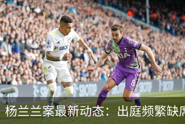 杨兰兰案最新动态：出庭频繁缺席，证据审理进展缓慢