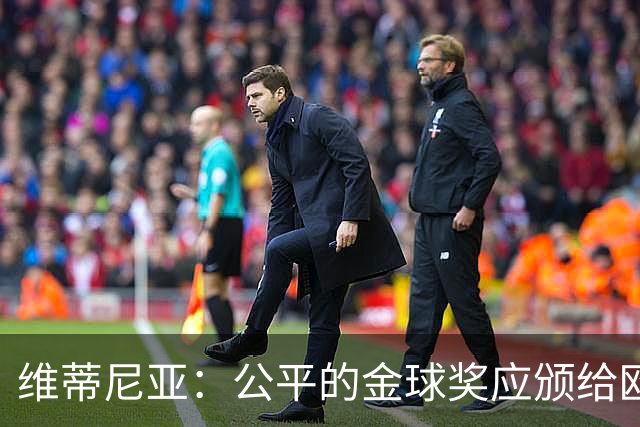 维蒂尼亚：公平的金球奖应颁给欧冠冠军的球员